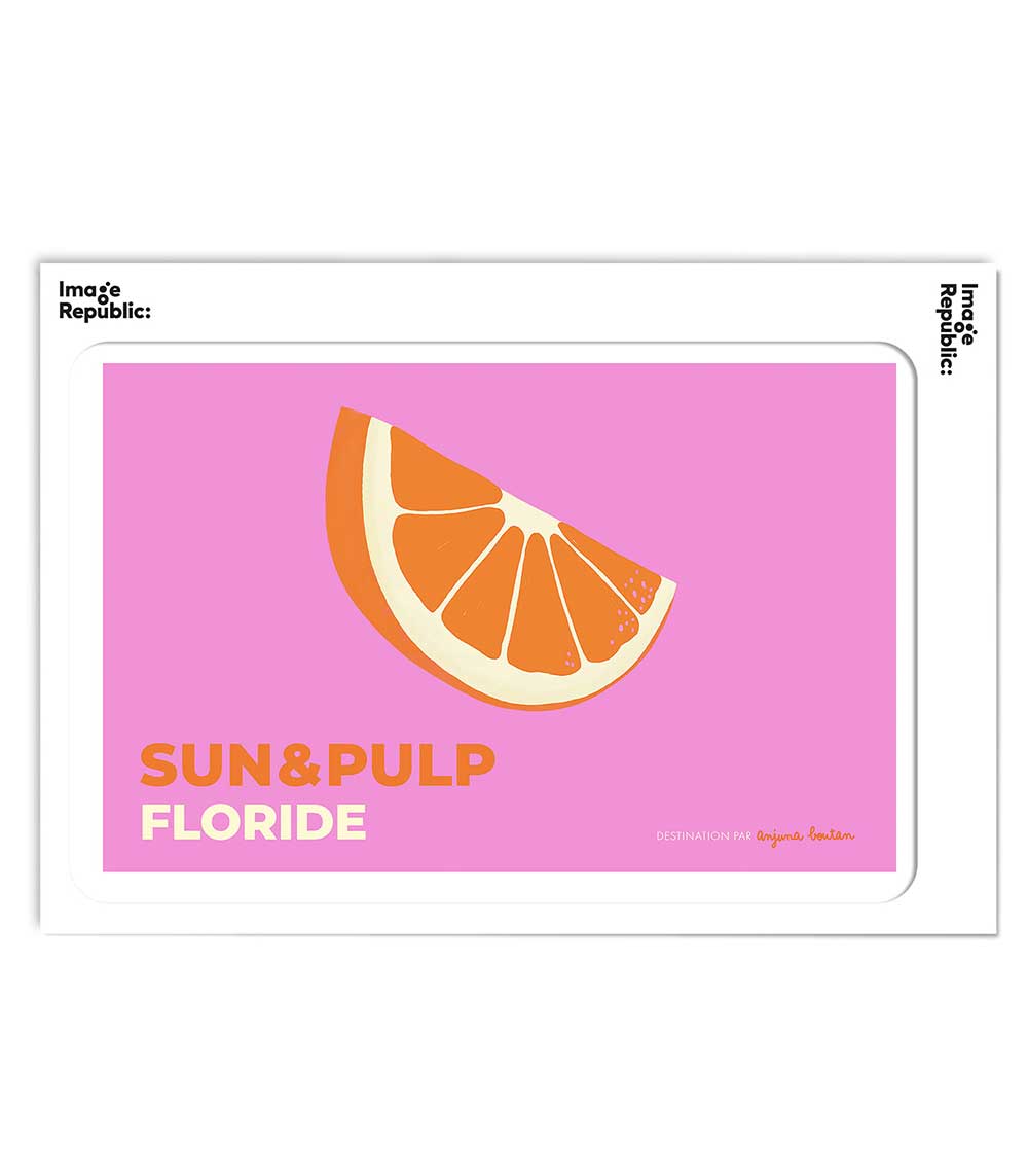 Affiche Anjuna Boutan Floride 38 x 56 cm Image Republic