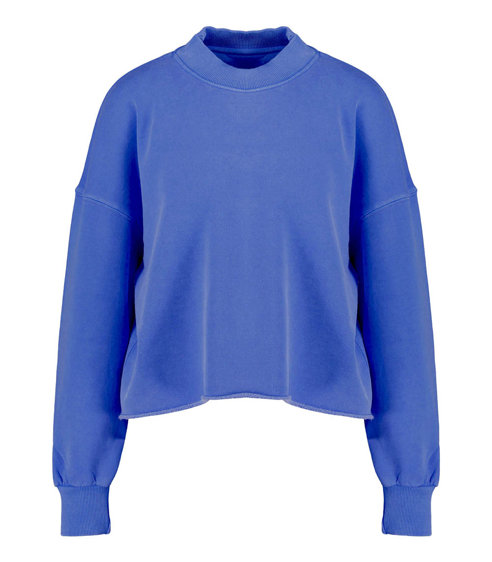 Sweat-shirt Porter Daily Royal Newtone