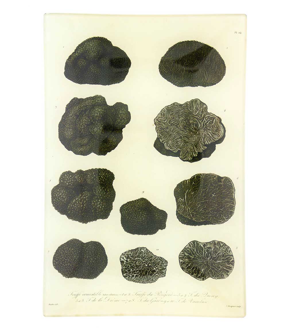 Vide-poches vintage Mushrooms John Derian