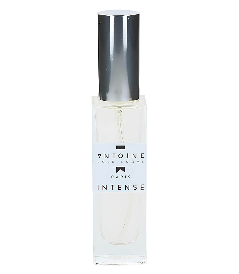 Eau de Toilette Intense pour Lui 30 ml Antoine