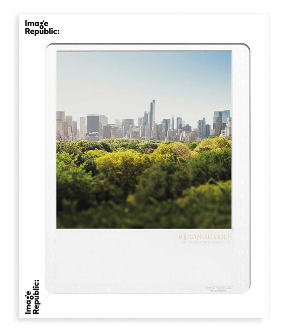 Affiche L'Iconolâtre 0279 40 x 50 cm Image Republic