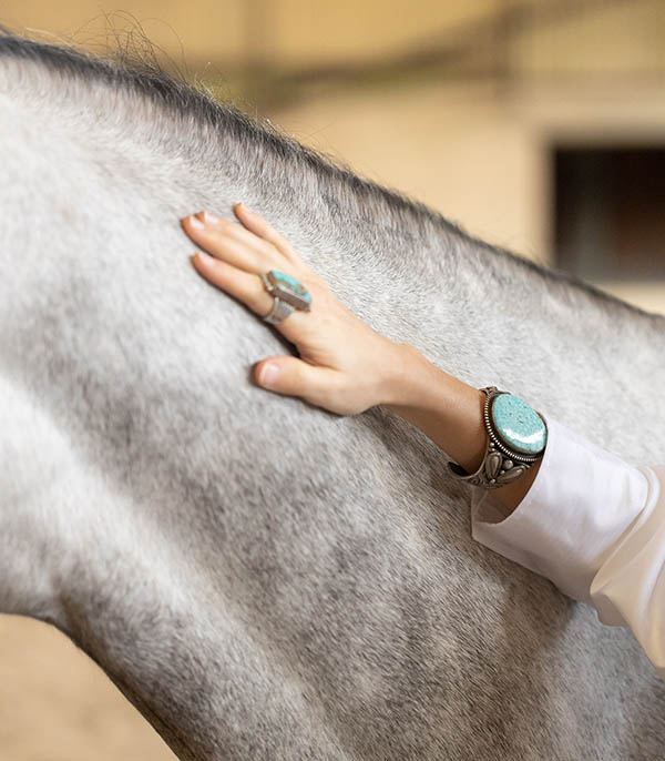 Manchette Navajo Turquoise Arizona Harpo