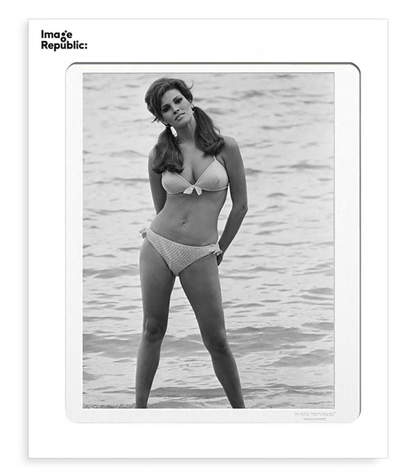 Affiche La Galerie Raquel Welch 4 38 x 56 cm Image Republic