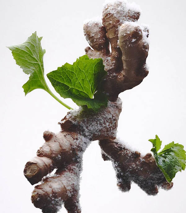 Eau de Parfum 803 Embruns, Gingembre, Patchouli 100 ml Bon Parfumeur