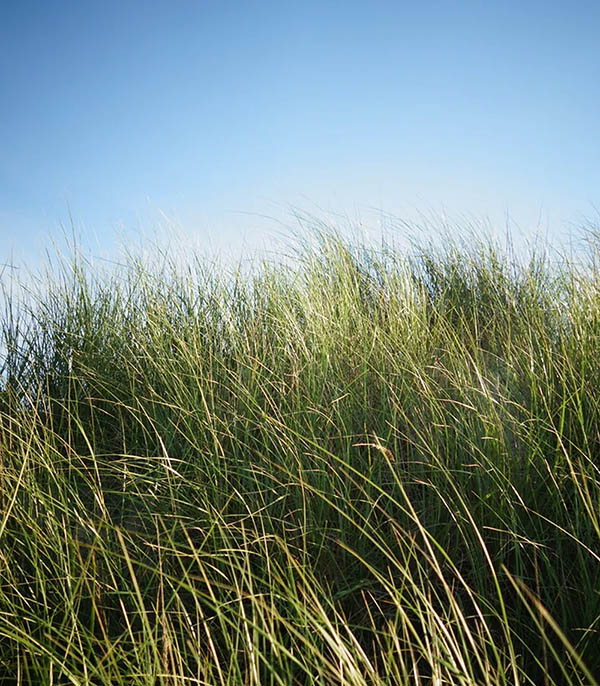 Parfum D'Ambiance #6 Promenade 50ml Lola James Harper