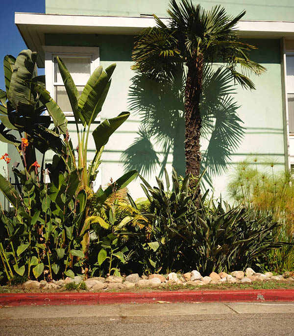 Parfum D'Ambiance #8 Red Garden 50ml Lola James Harper