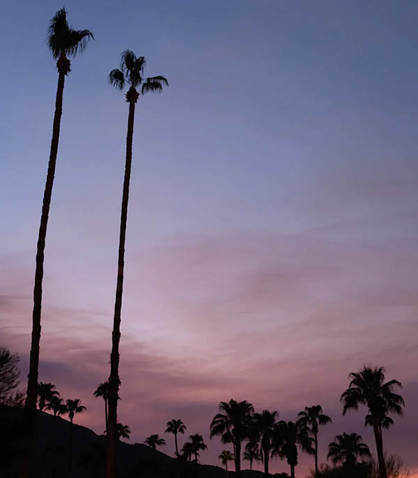 Eau de toilette #27 Do What You Love 50ml Lola James Harper