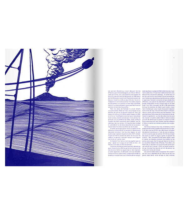 Livre Surf  Albin Michel