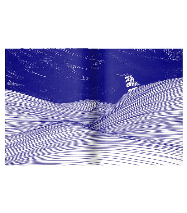 Livre Surf  Albin Michel