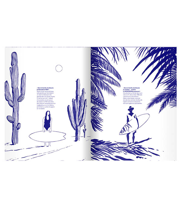 Livre Surf  Albin Michel