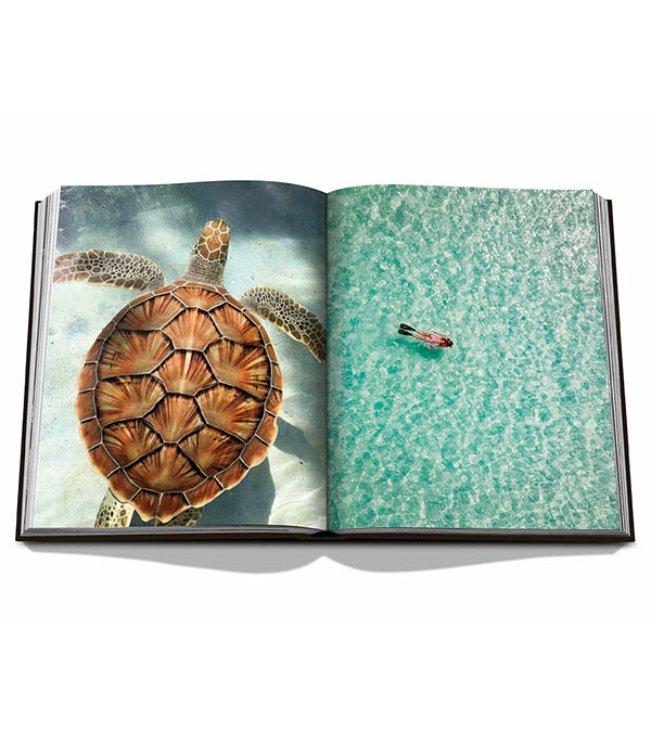 Livre Jamaica Vibes Assouline