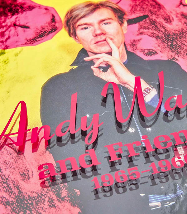 Livre Schapiro. Andy Warhol and Friends Taschen