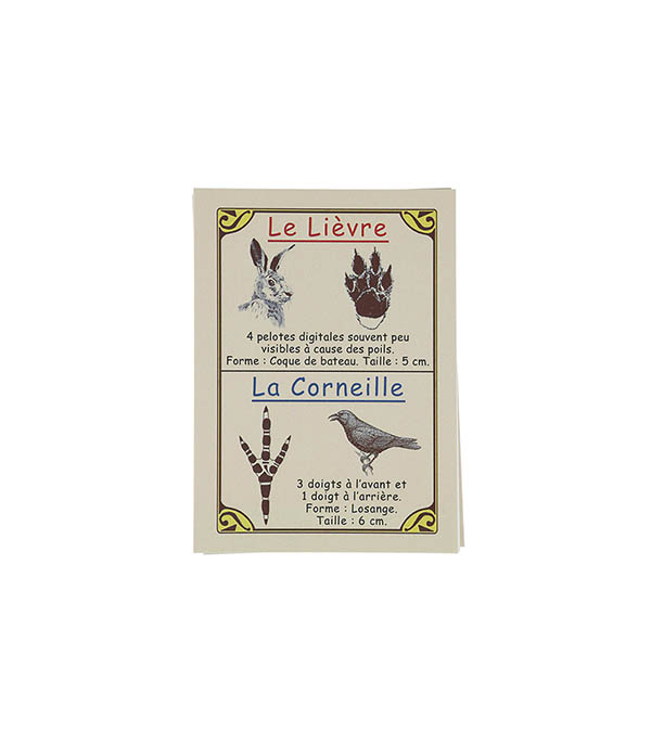 Jeu de Cartes Empreintes D'Animaux Marc Vidal