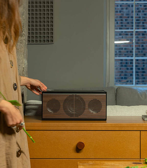 Enceinte Multiroom PR Link Noir/Noyer La Boite Concept