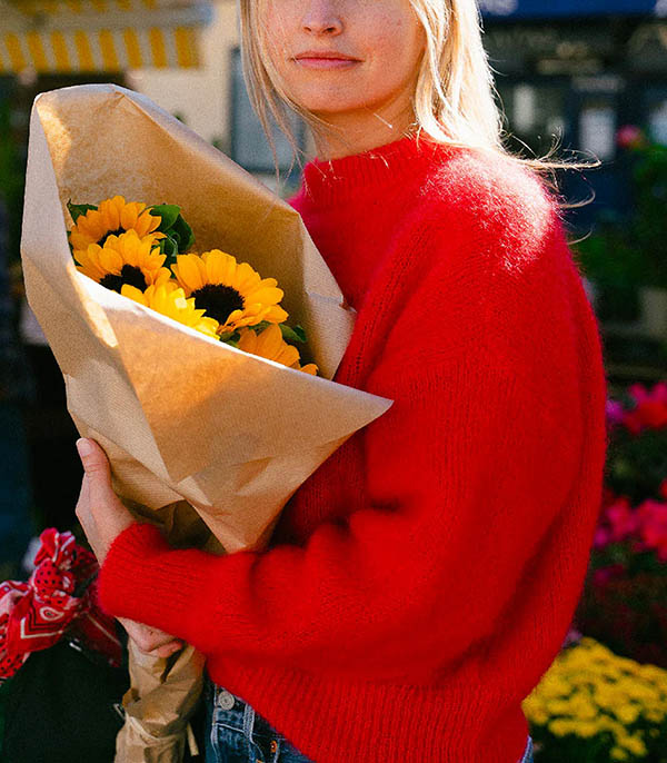 Pull Mohair Jane Red Surprise Paris
