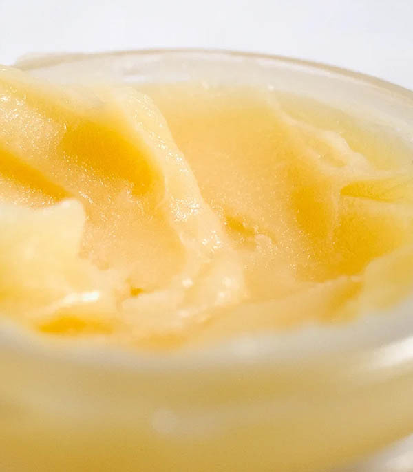 Baume à Lèvres Alaena