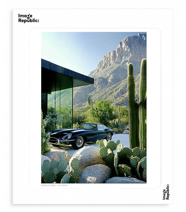 Affiche The Vision 014 - 38 x 56cm Image Republic