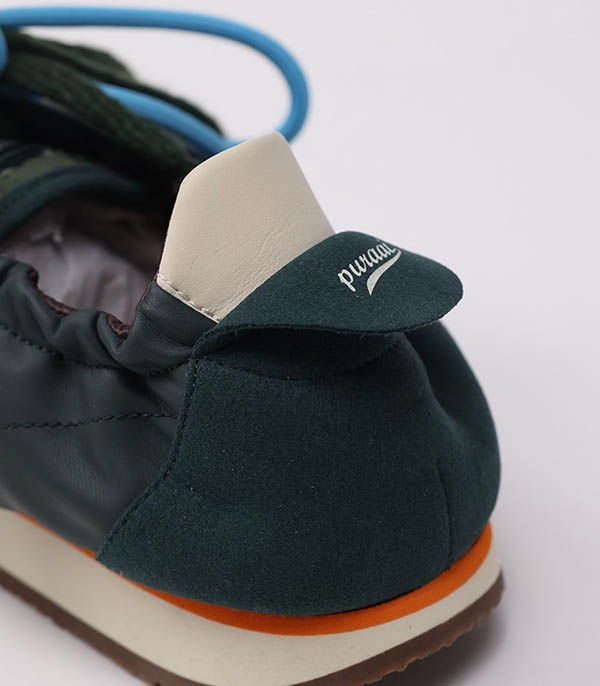 6.02 PANTHER MOINTAIN VIEW  Puraai