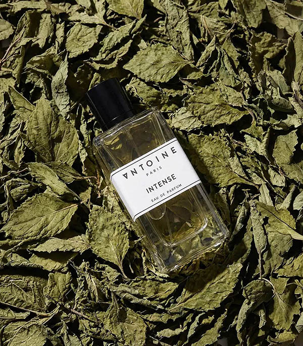Eau de Parfum Intense 100 ml Antoine