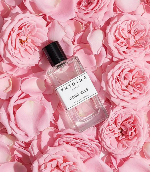 Eau de Parfum Pour Elle 100 ml Antoine