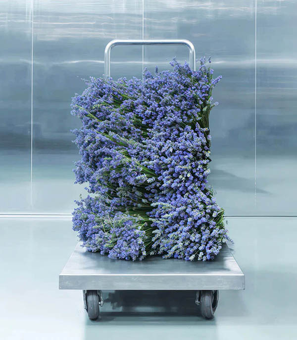 Eau de parfum Metal Lavender 100ml MATIERE PREMIERE