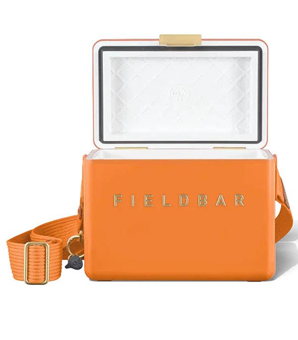 Glacière Mini Bar Orchard Orange Fieldbar