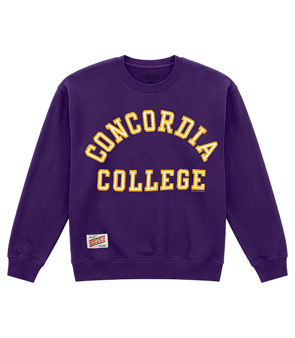 Sweat-shirt Taylor Concordia Purple Newtone