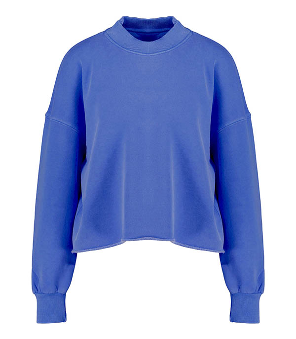 Sweat-shirt Porter Daily Royal Newtone