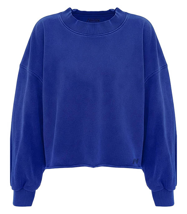 Sweat-shirt Porter Daily Royal Newtone