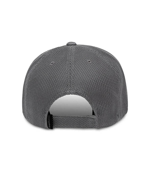 Casquette de baseball Curb Grey Floyd