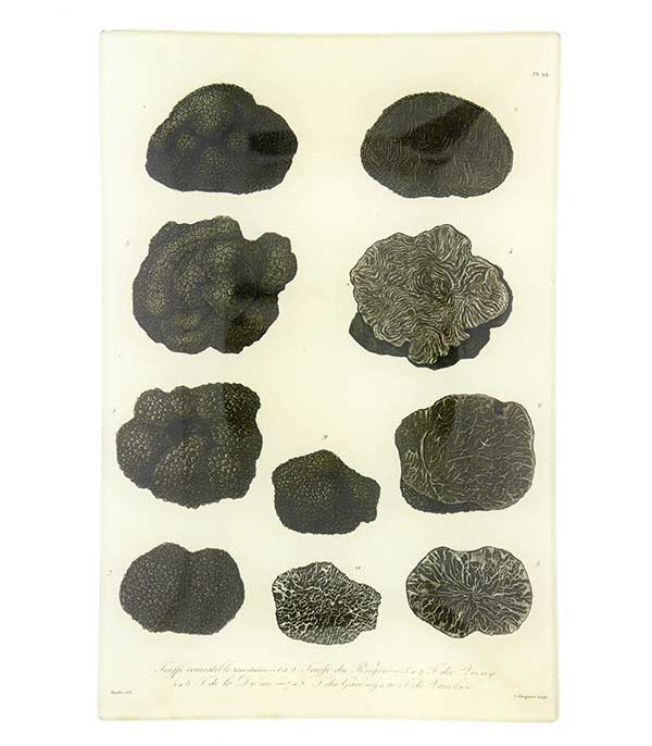 Vide-poches vintage Mushrooms John Derian