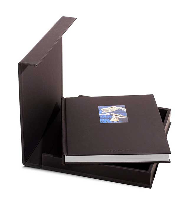 Livre Louis Vuitton Windows (Ultimate Edition) Assouline